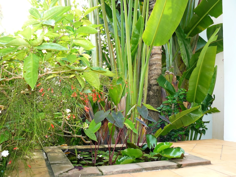 Mealea Resort 39/50
