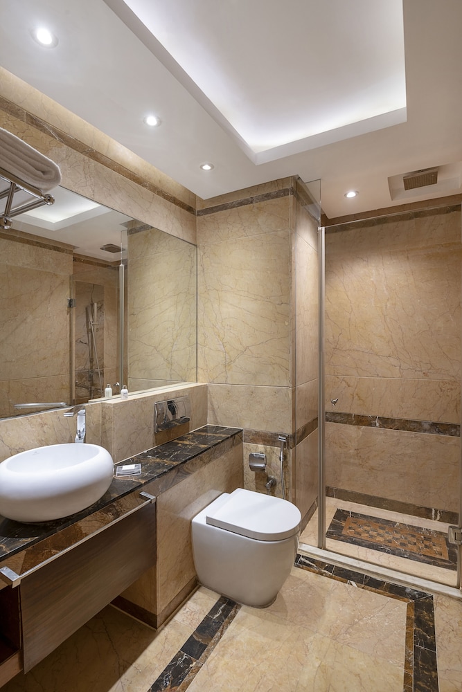Radisson Blu Hotel Kaushambi Delhi Ncr 33/68
