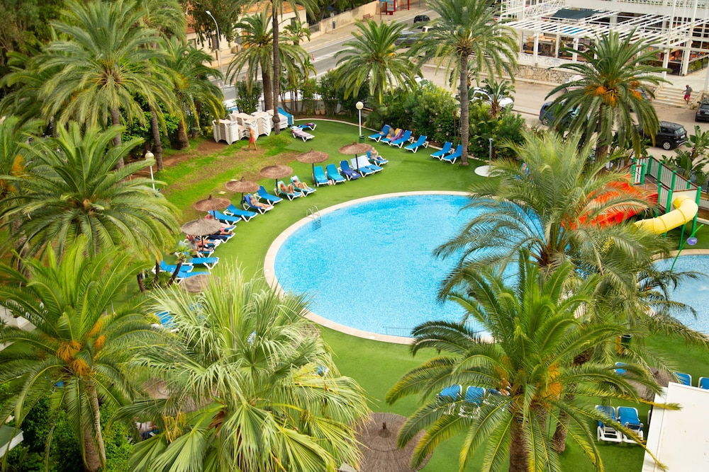Port Denia 45/49