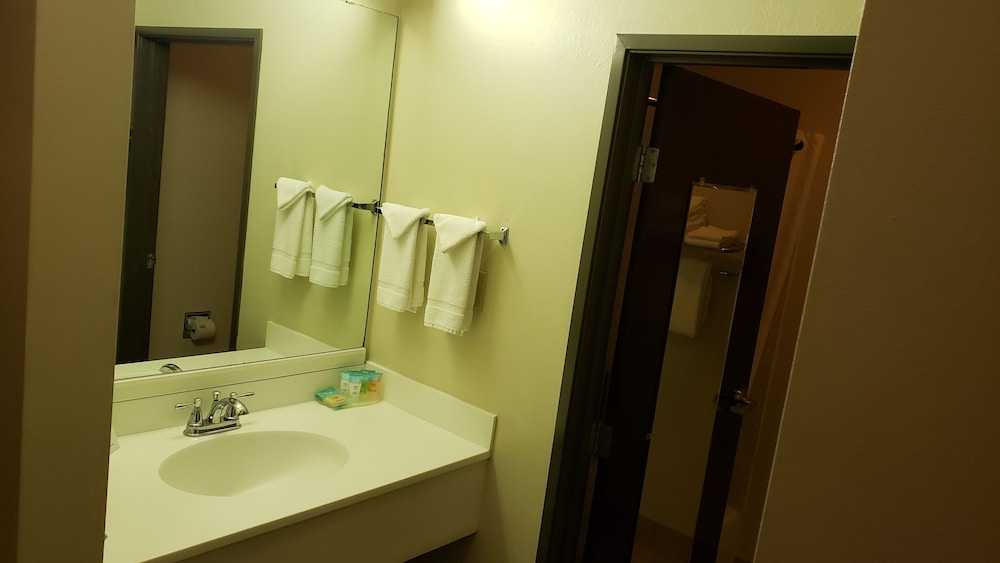Travelodge by Wyndham Carlsbad NM 16/41