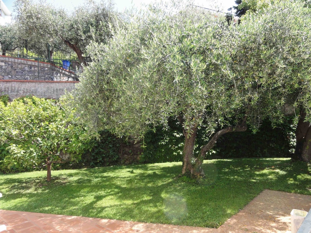 Dei Fiori Residence 42/50