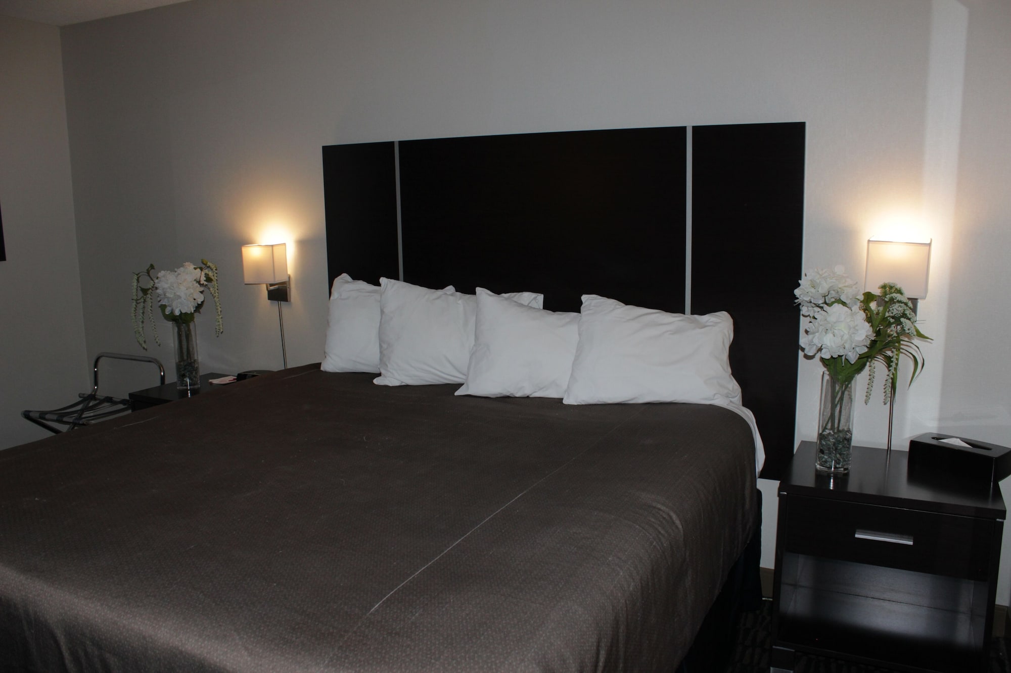 SUITE, KING BED