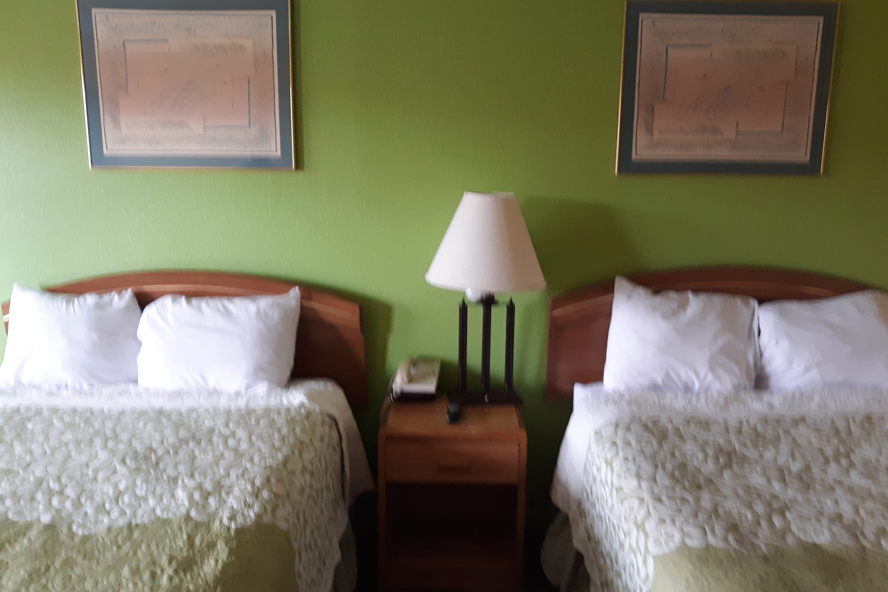 OYO Hotel Williamston 27/48