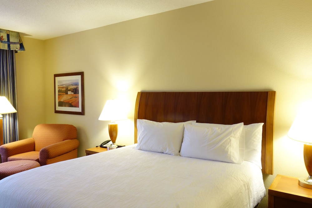 Hilton Garden Inn Atlanta East Stonecrest 13/63