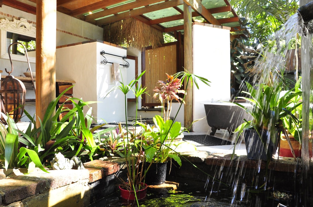 THE GARDEN BUREES 52/67