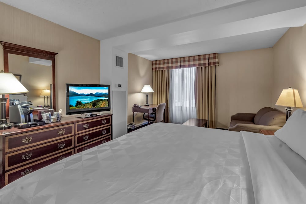 Buffalo Airport Hotel 13/61