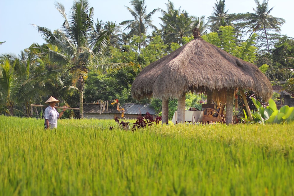 Mathis Retreat Ubud 28/46