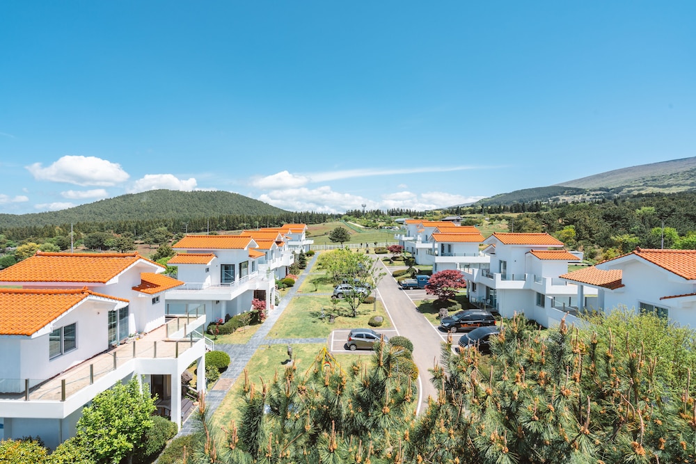 Amber Purehill Hotels & Resorts Jeju 49/50