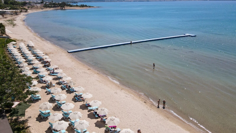 The Holiday Resort 49/54