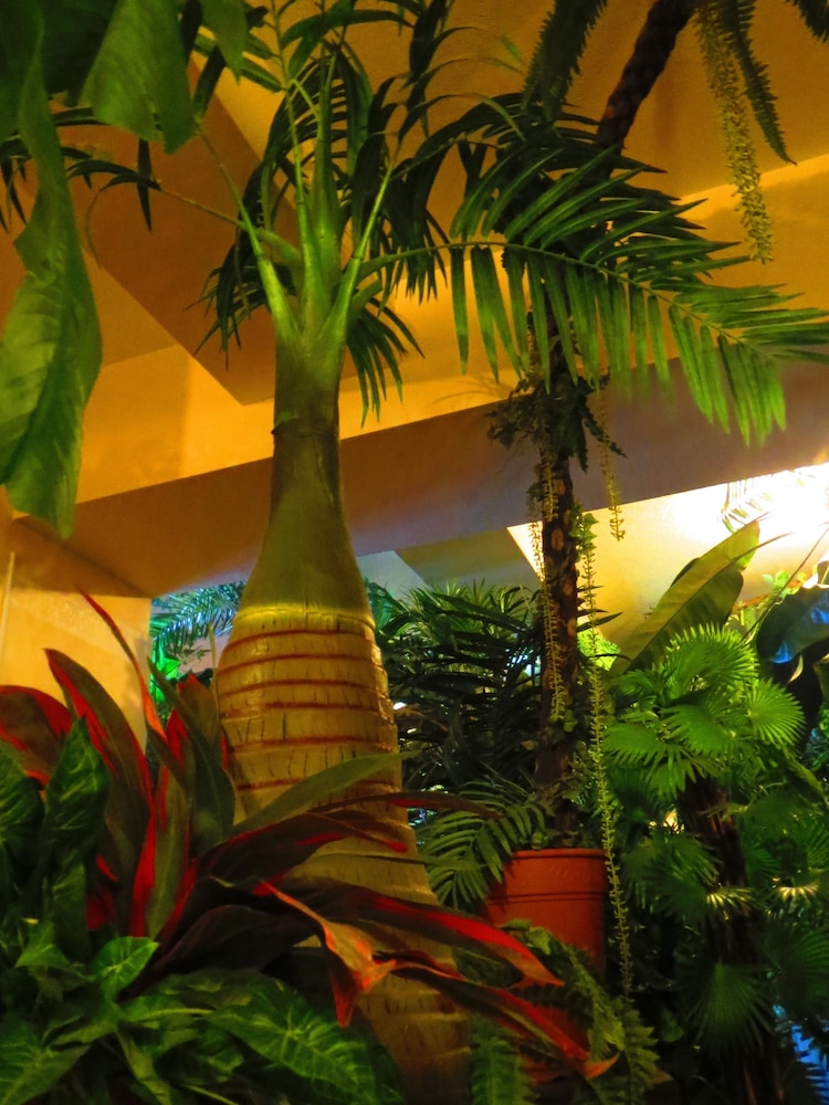 Stella Resort - Hostel 44/49