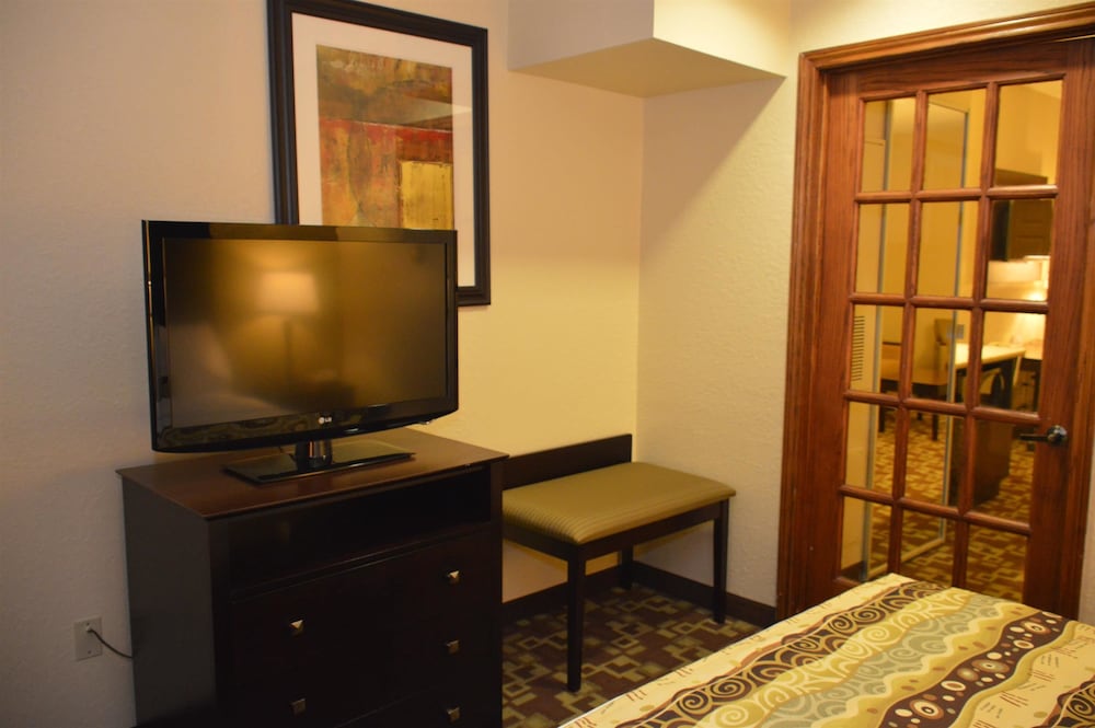 Best Western Plus Hobby Airport Inn and Suites 45/58