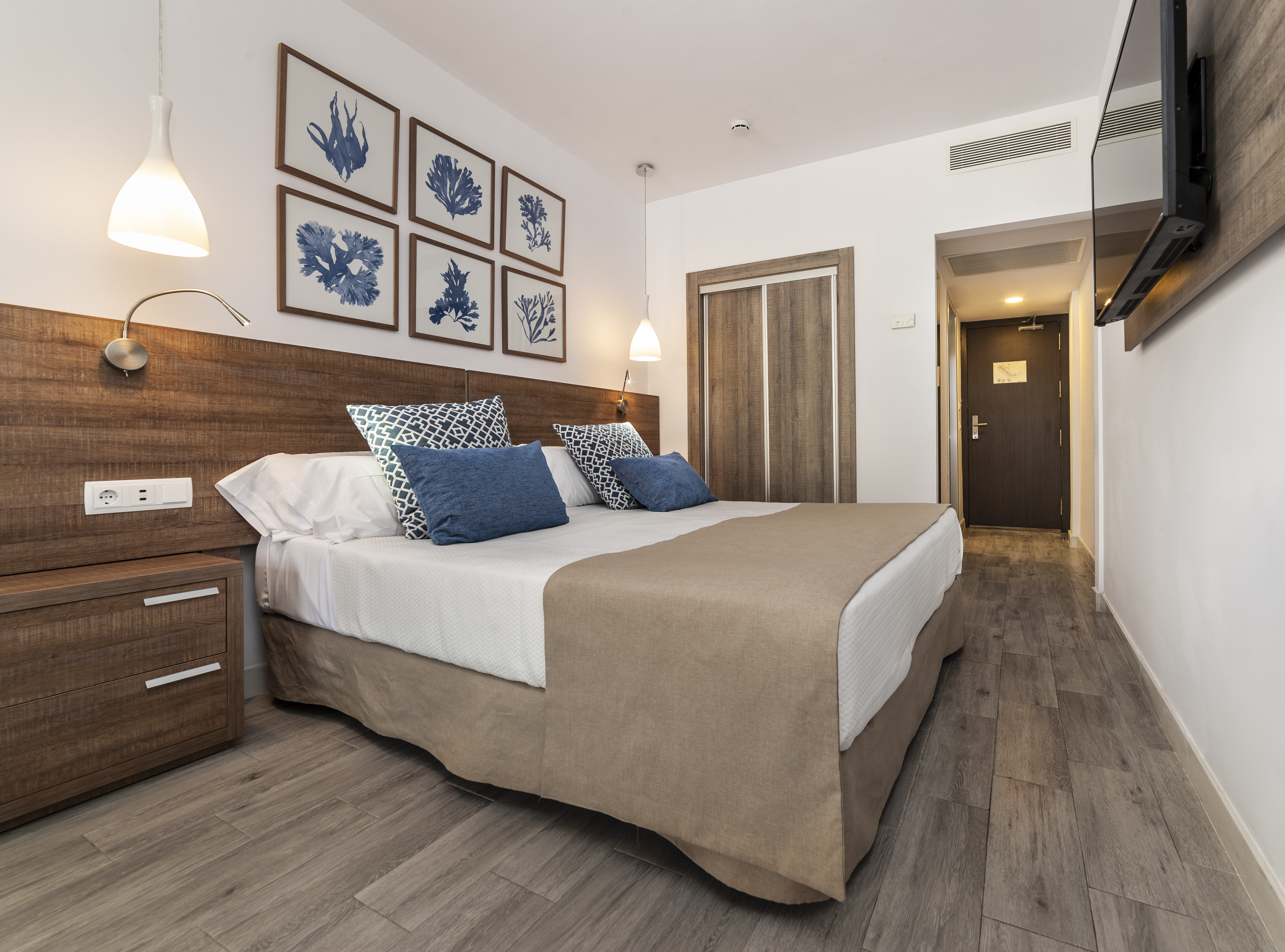 Globales Don Pedro - Adults Only 16/50