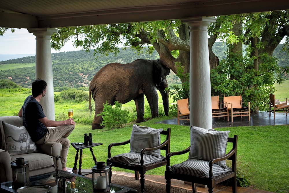 Gorah Elephant Camp 23/50