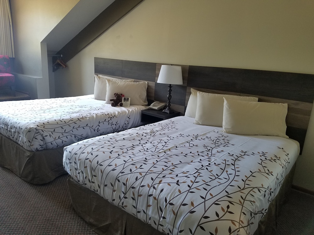Roosevelt Inn Mount Rushmore 20/71
