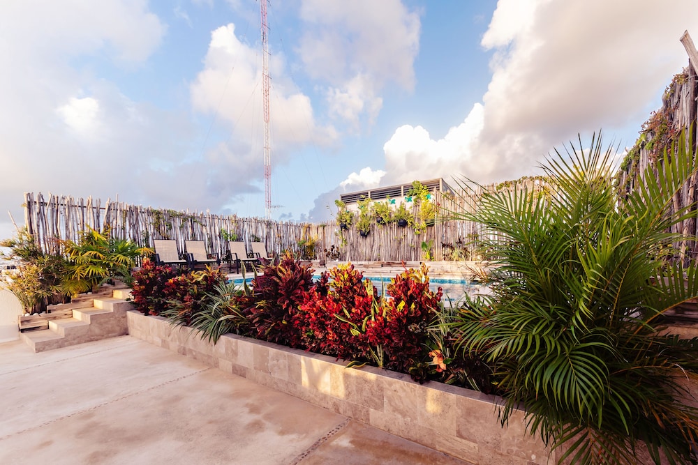 Mararena Condominios by Nah Hotels 8/48
