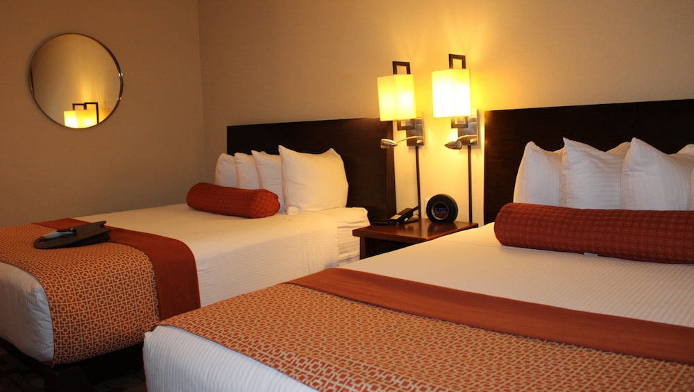 The Zen Hotel 11/58