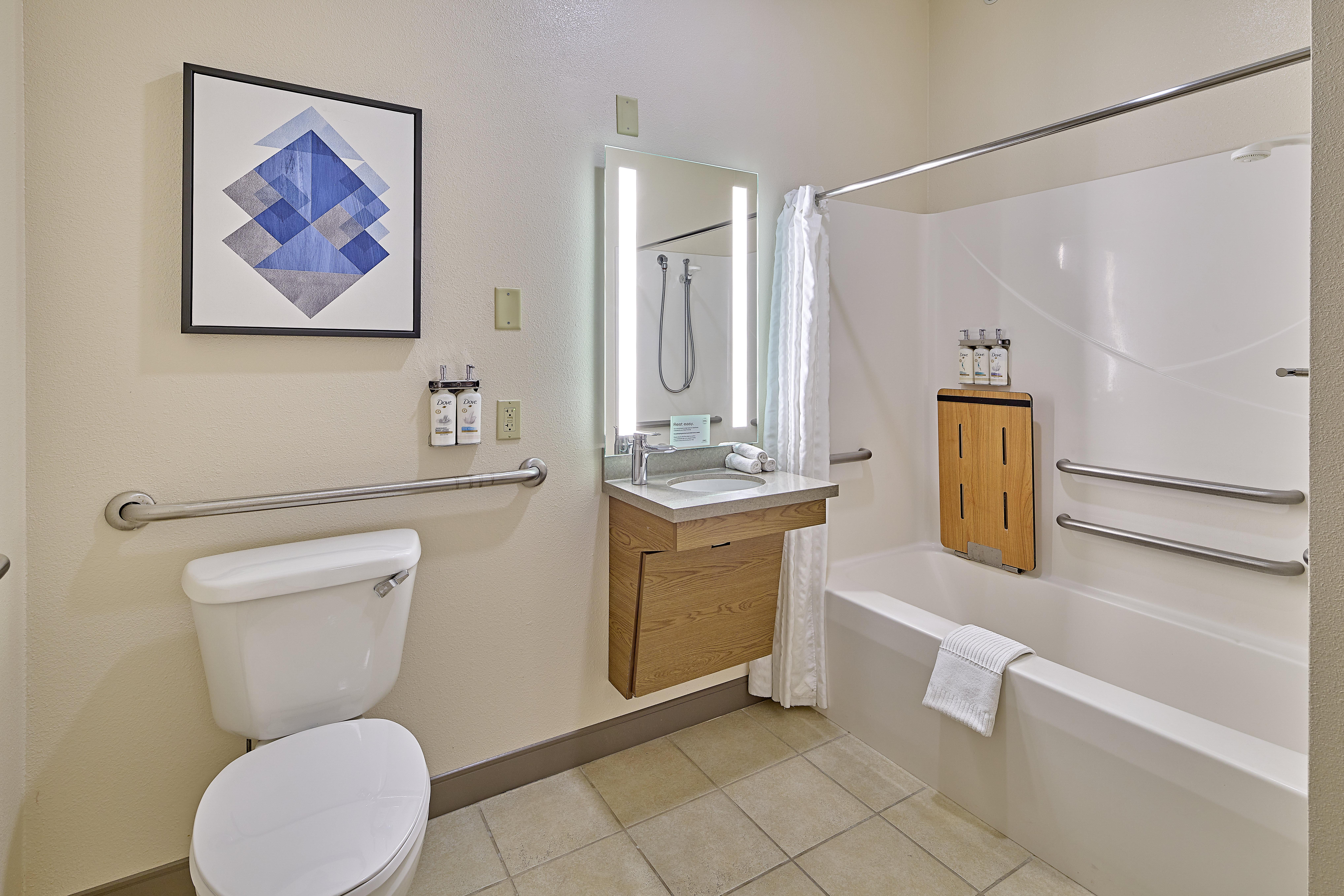 1 Bedroom, Suite, Queen Bed, Accessible