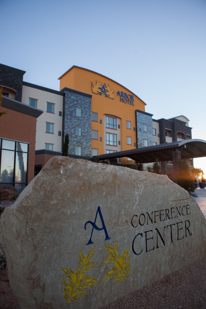 La Quinta Inn and Suites by Wyndham Lubbock Southwest 6/63