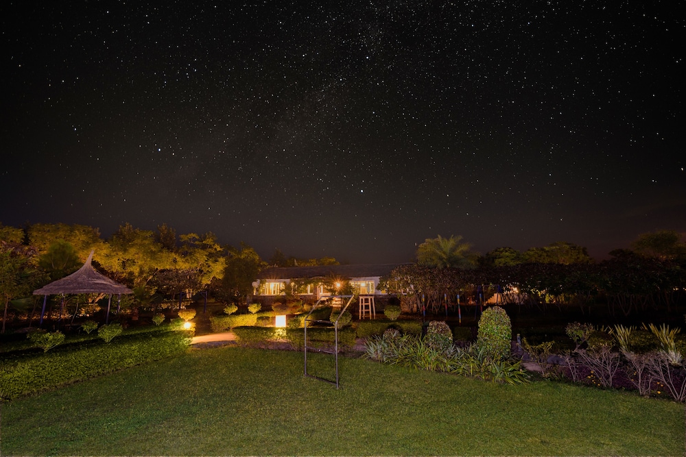 Astroport Sariska Treetop by Eight Continents 53/58