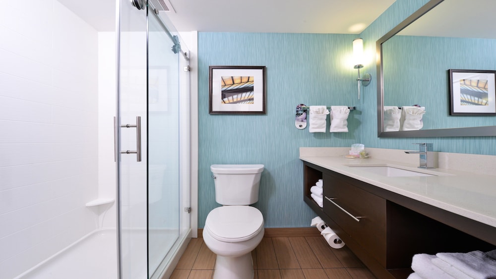 Holiday Inn Hotel And Suites Edmonton Airport Conference Centre 16/70