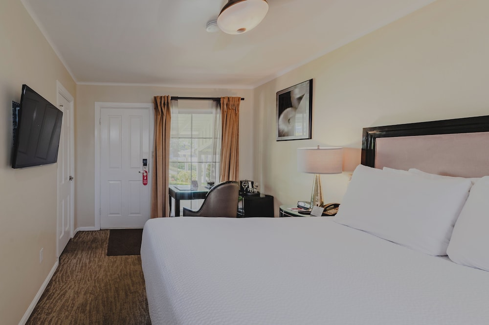 Room, Queen Bed