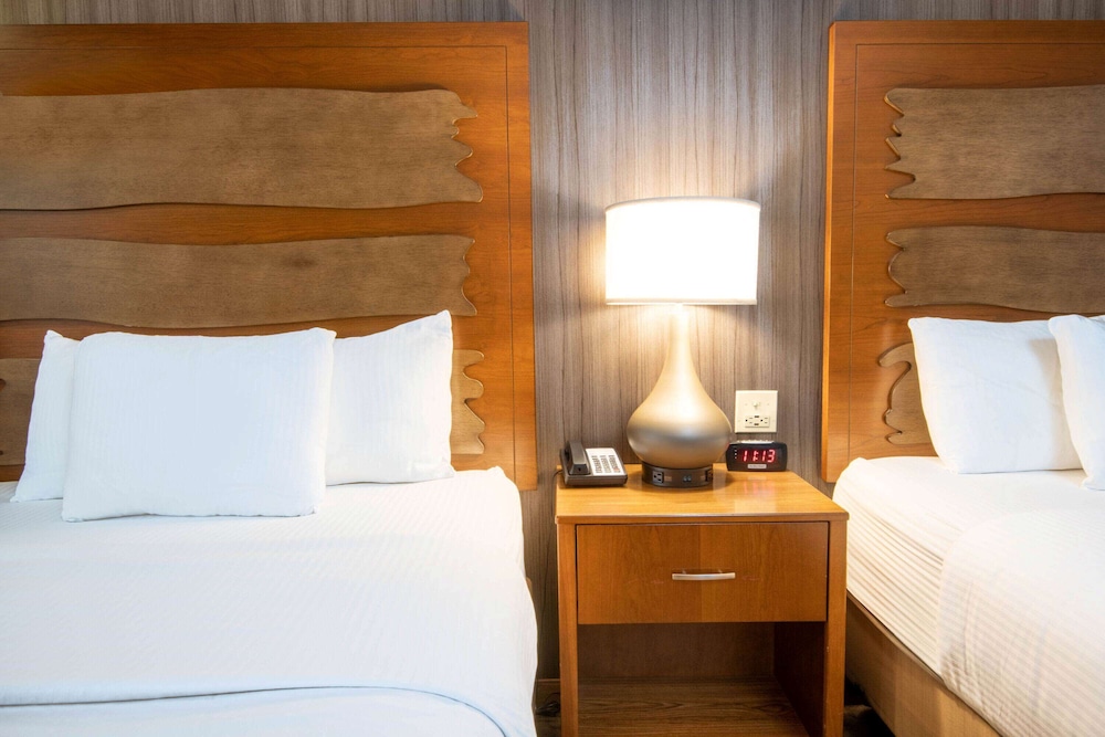 La Quinta Inn & Suites by Wyndham Durango 18/45
