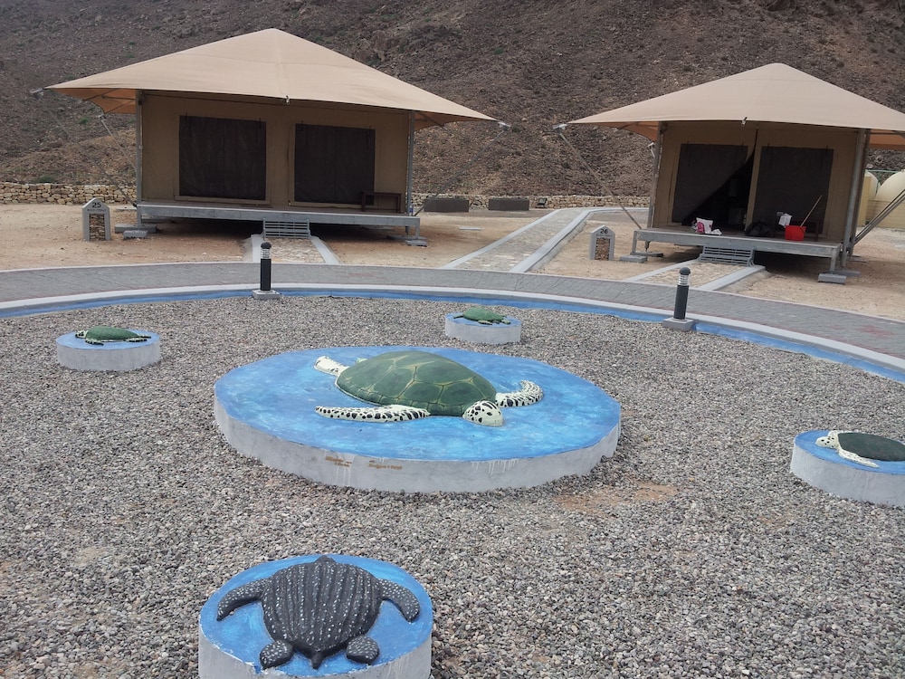 Ras Al Jinz Turtle Reserve 18/40