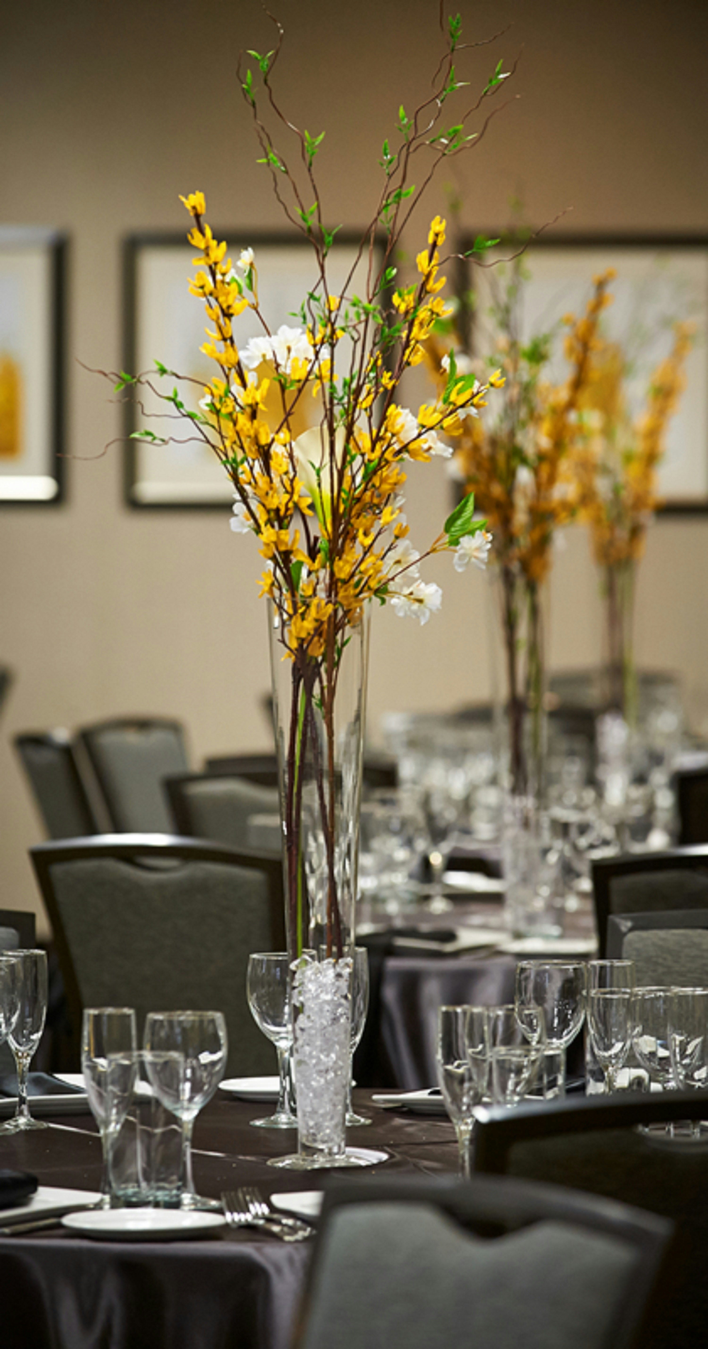 Homewood Suites By Hilton Hamilton Ontario Canada 24/50