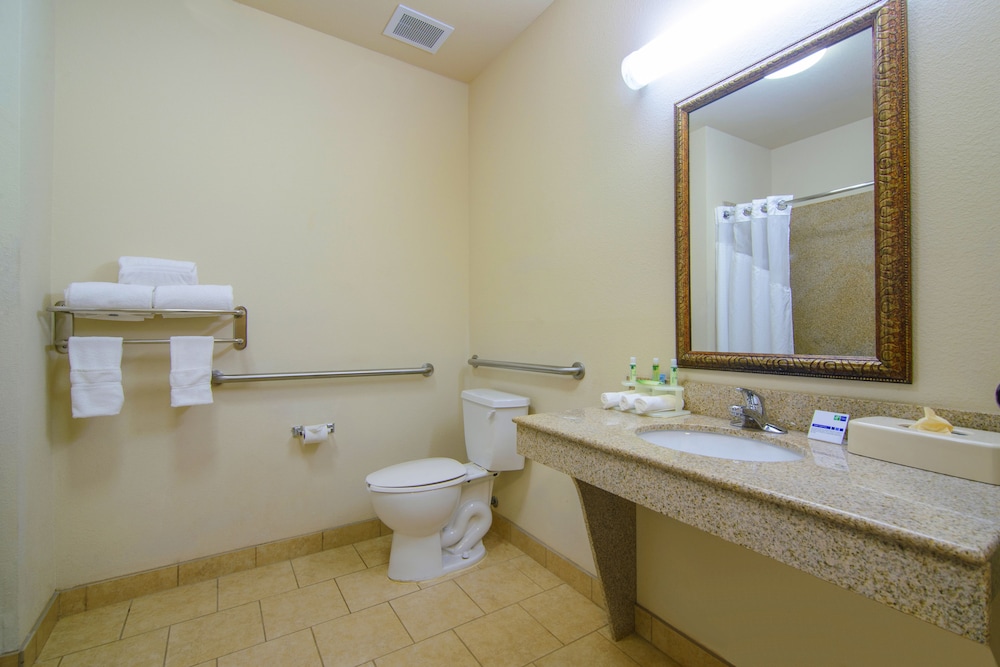 Holiday Inn Express Hotel Suites Terrell 26/64