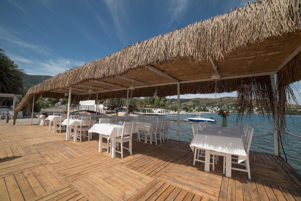 Palmiye Beach & Rest 33/64