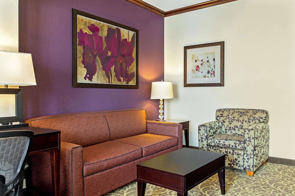 La Quinta Inn and Suites by Wyndham Ft. Worth - Burleson 32/53