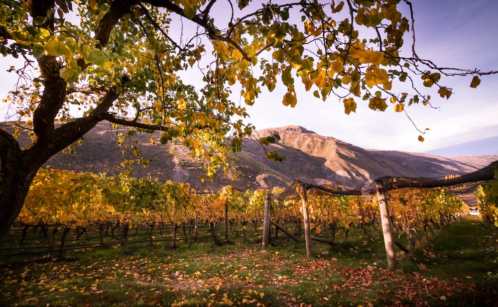 Gibbston Valley Lodge & Spa 36/50