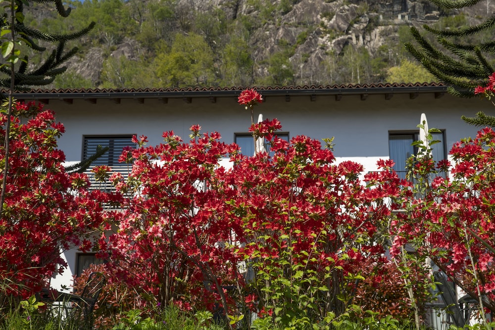 Hotel Al Fiume 37/50
