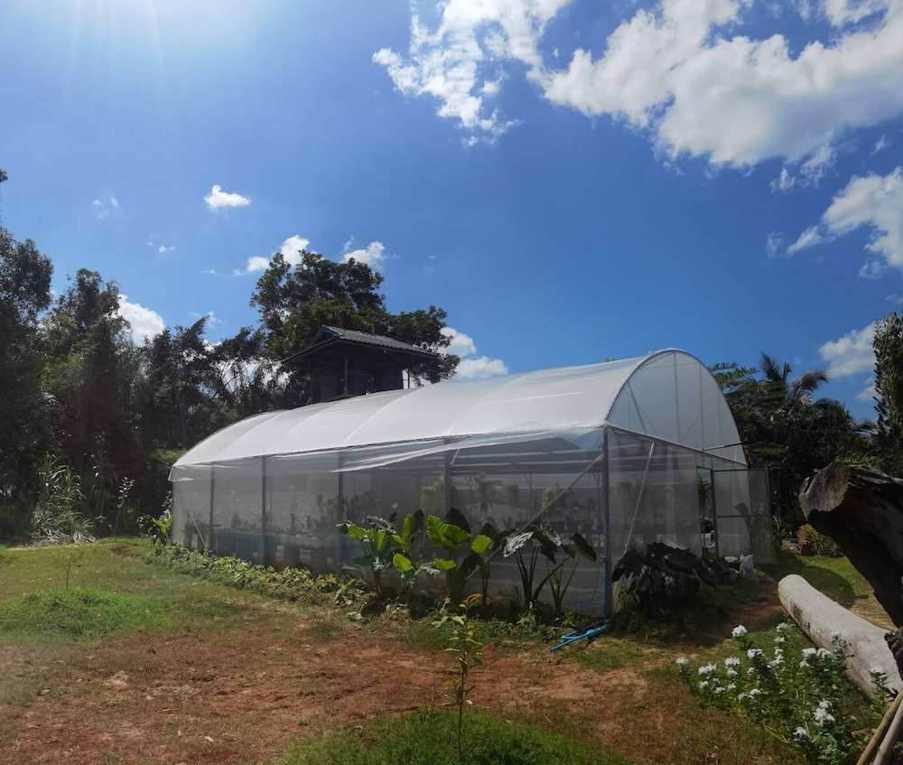 Wangnamkhao Resort 29/63