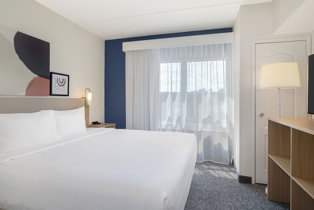 Suite, King Bed