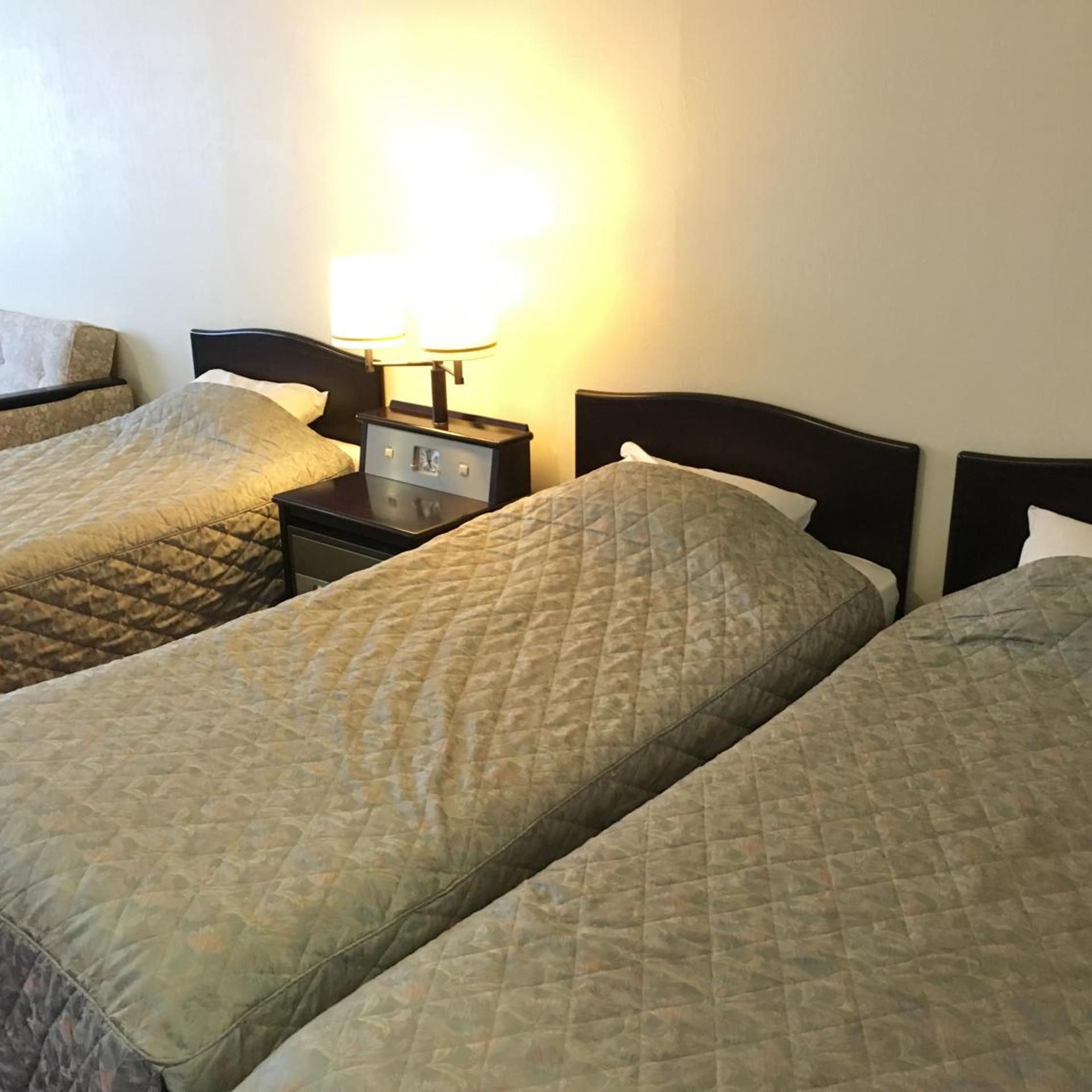 Nikko Astraea Hotel 9/70