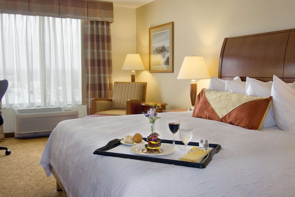 Hilton Garden Inn Cleveland East Mayfield Village 13/36