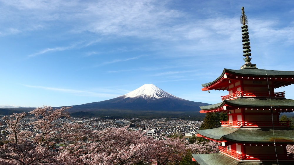 Hostel Fujisan You 41/50