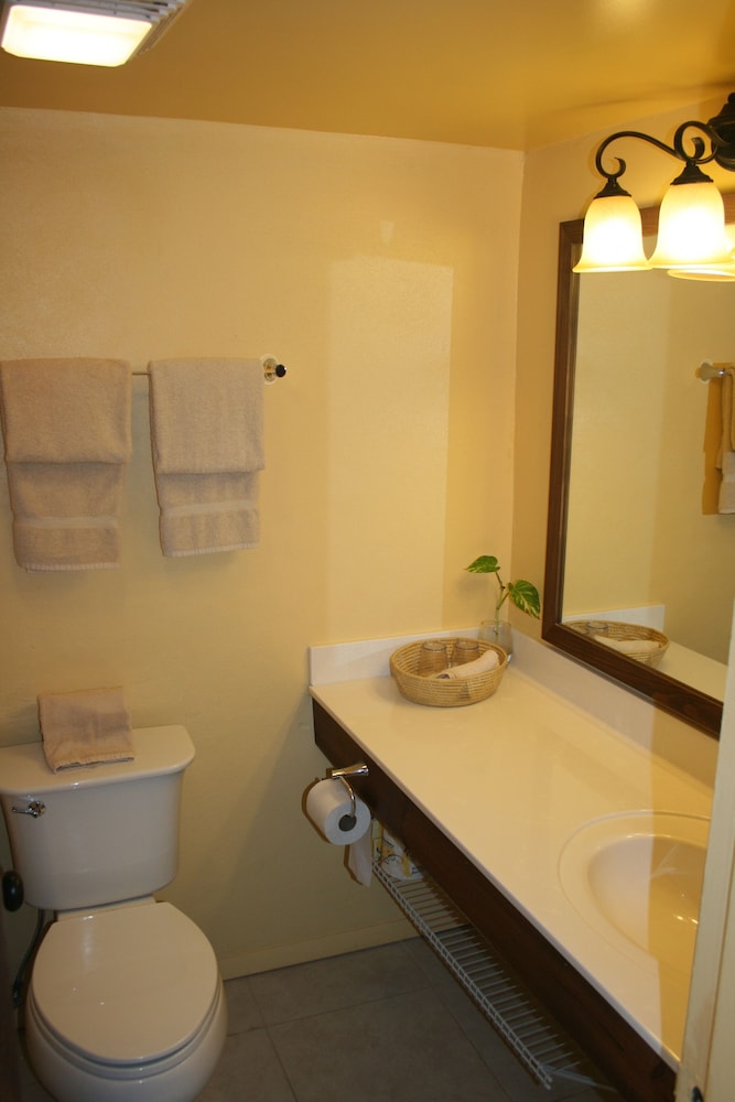 غرفة سوبيريور بسرير كينج بإطلالة على البحر، Hotel On The Cay 9/10