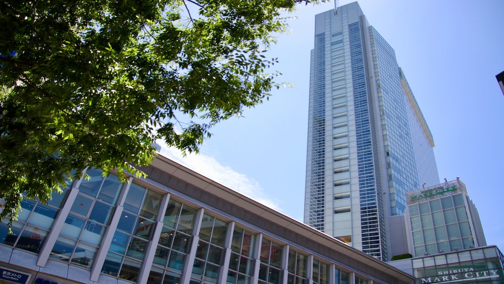 Shibuya Excel Hotel Tokyu 3/61