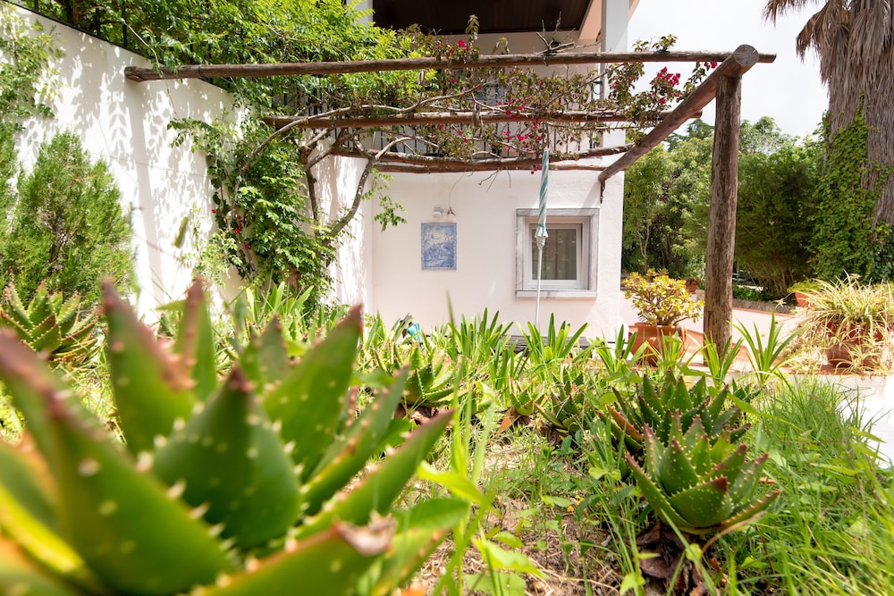 Quinta Verde Sintra 45/50