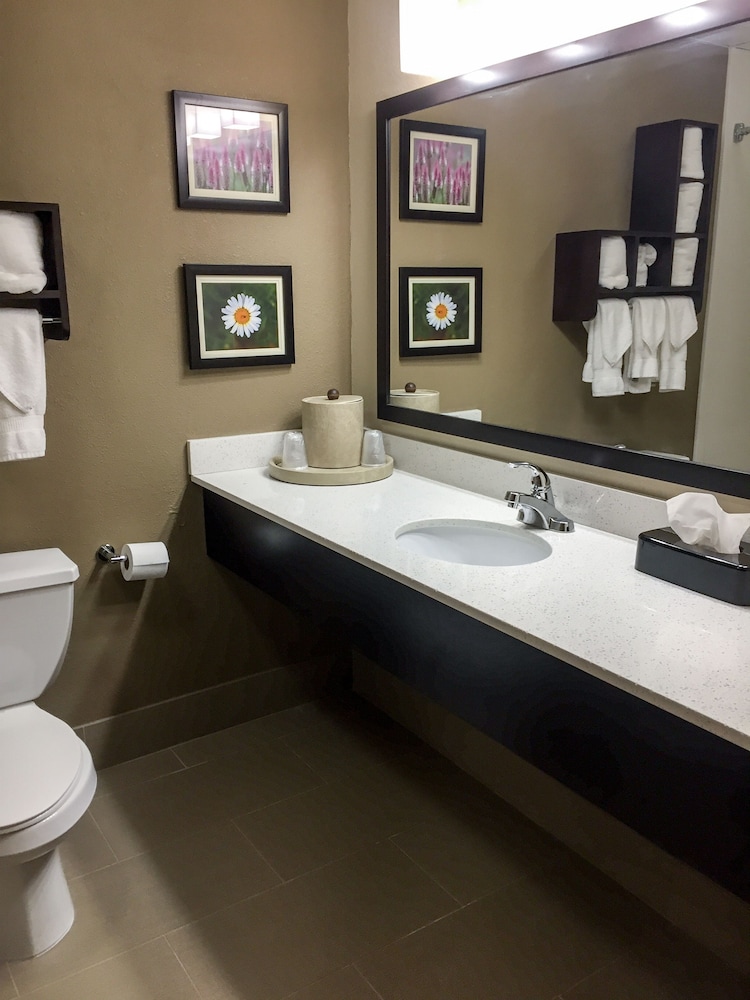 Comfort Suites Regency Park 13/34