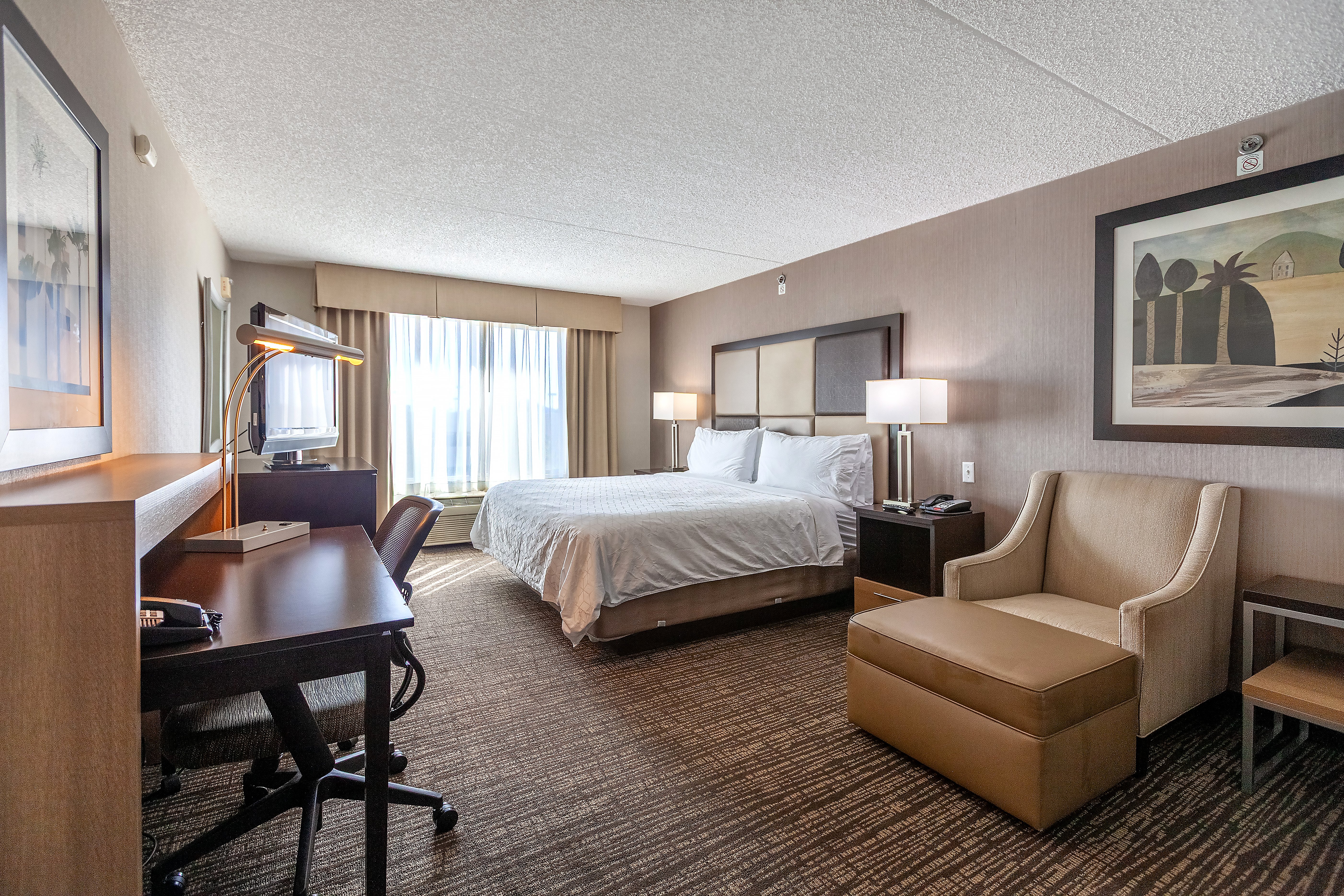 Holiday Inn And Suites Scottsdale North Airpark Ex Wingate By Wyndham Scottsdale 14/50