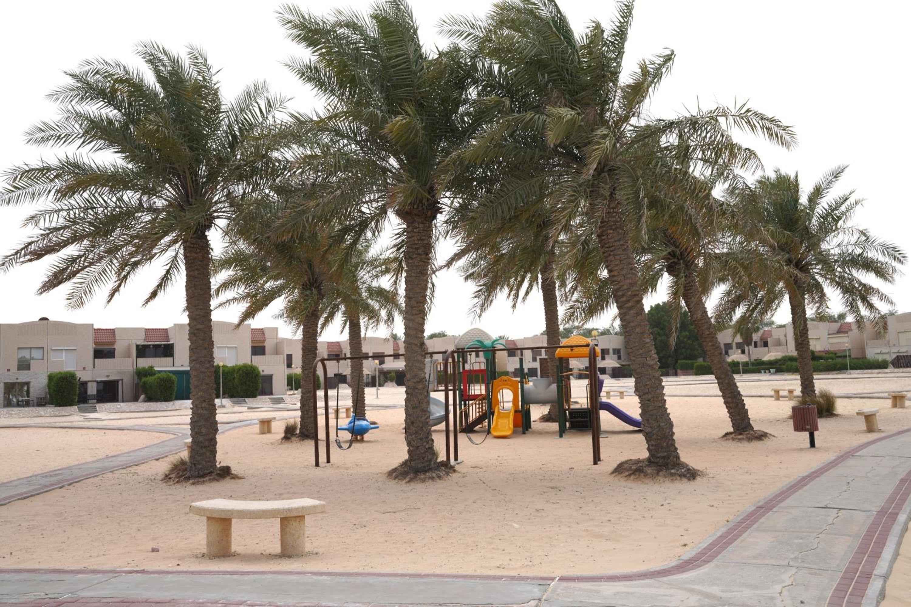 منتجع شاطئ النخيل(Palm Beach Resort) 65/73