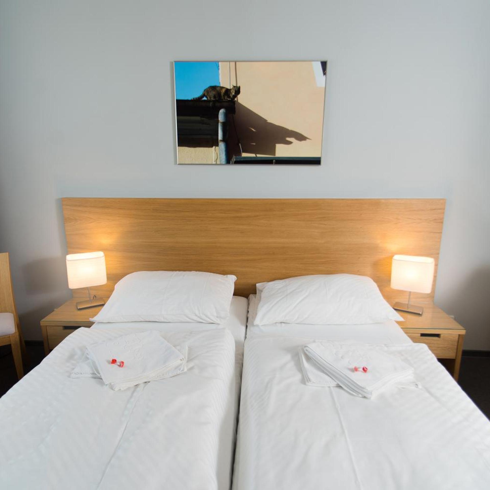 Hotel Atom Trebic 29/65