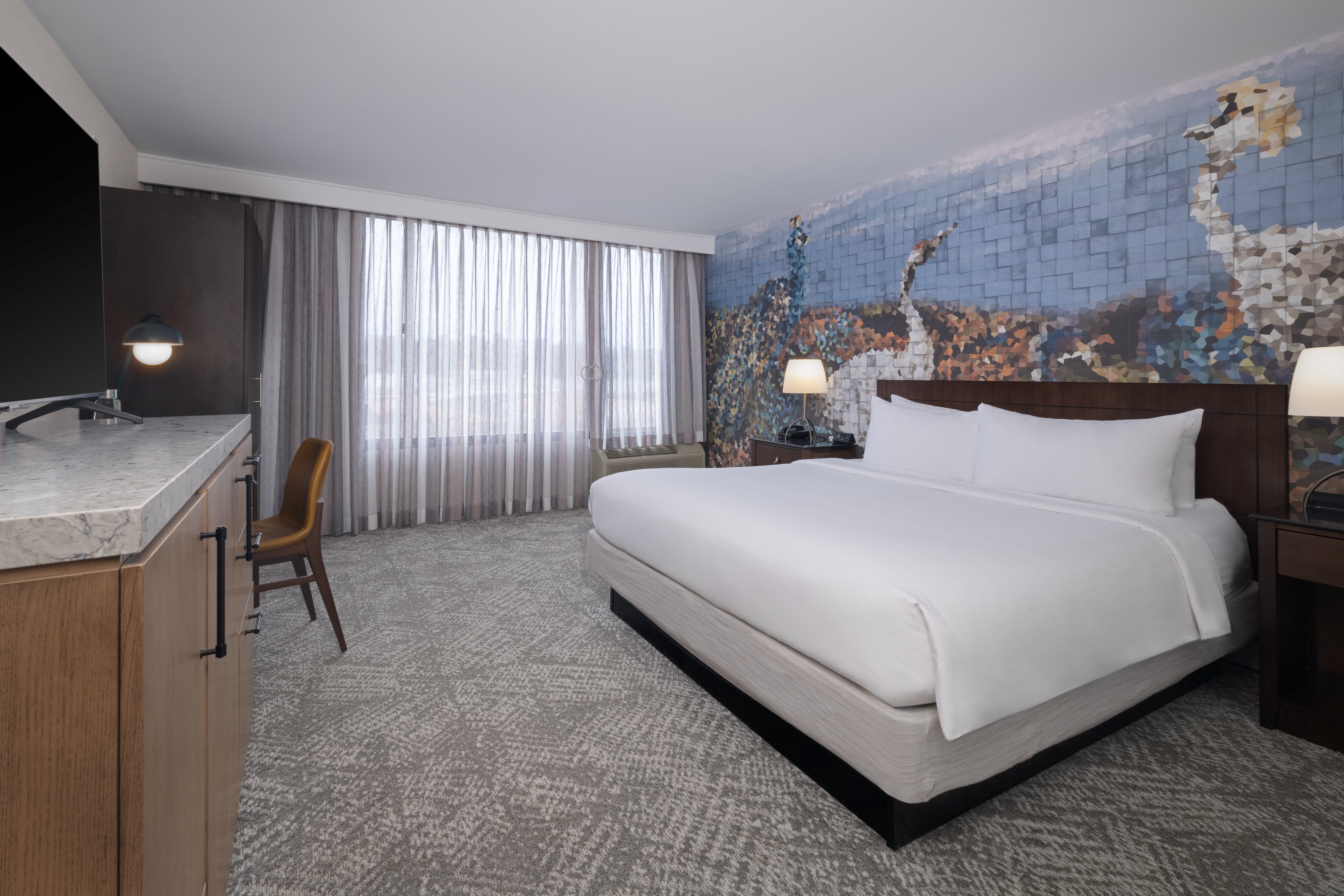 Standard, King Bed, Accessible