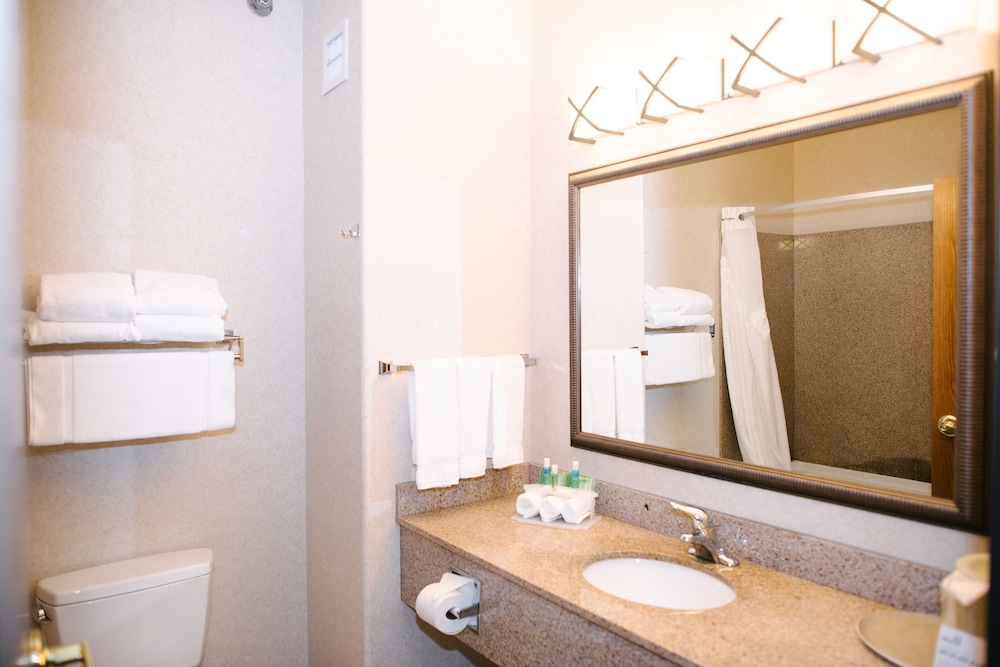 Holiday Inn Express and Suites Custer 15/59