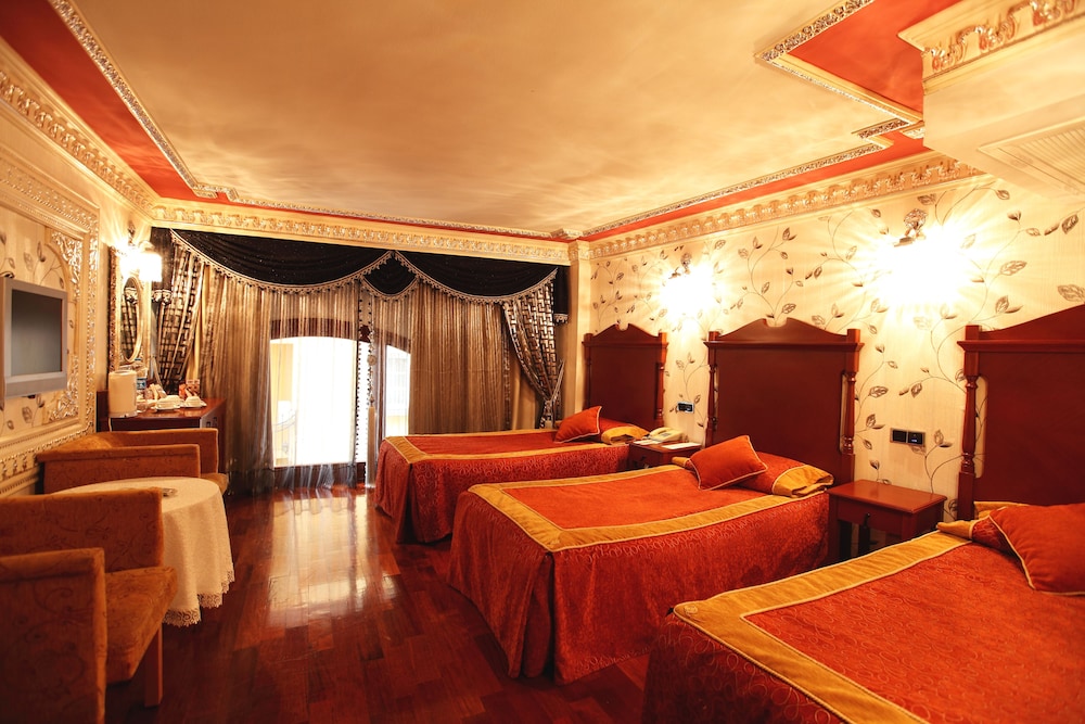 Deluxe Golden Horn Sultanahmet Hotel 19/47