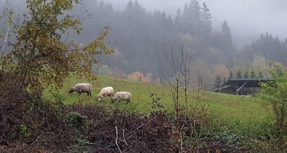 Ferien vom Ich, Bayerischer Wald, Hotel and Restaurant 33/38