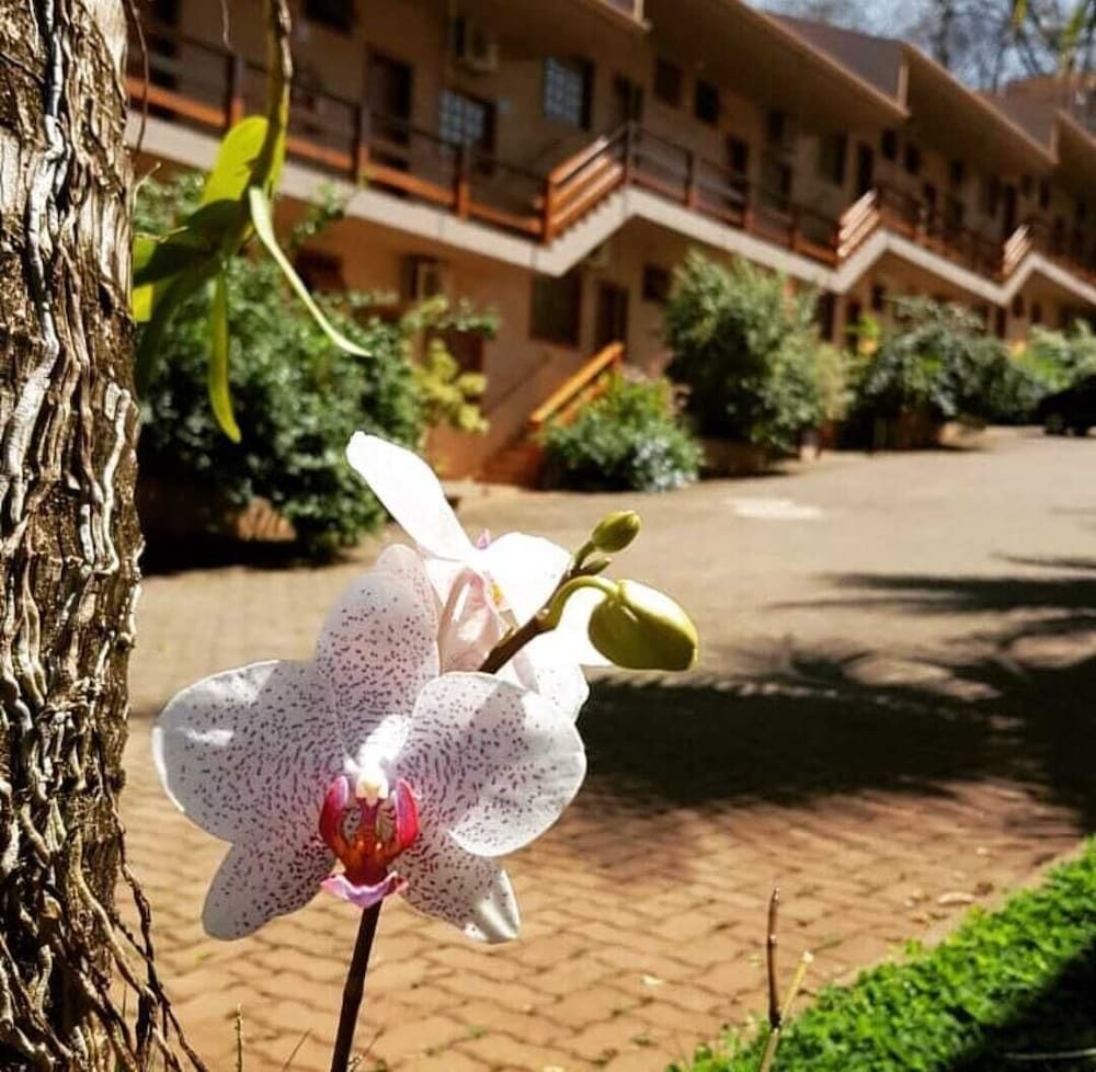 POUSADA SANTA RITA 42/50